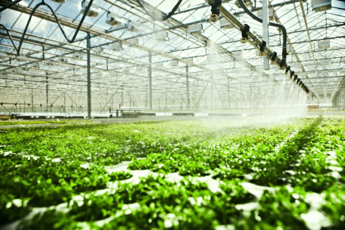 large greenhouse with metal framing and equipment